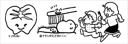6歳臼歯の重要性